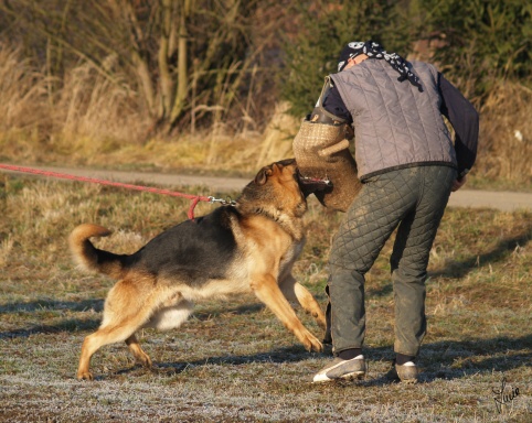 The christmas training 27.12.2006